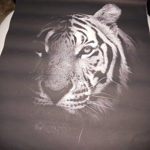 BEAUTFUIL REGEL TIGER PAINTING